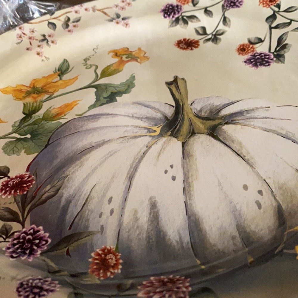 Pottery Barn Botanical Harvest Pumpkin Stoneware Dinner Plates - Set Of 4 - Picture 10 of 16